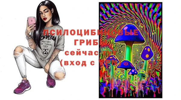 стафф Рославль