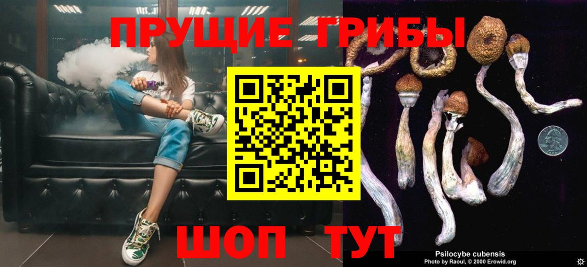 Казань  Галлюциногенные грибы ЛСД  Вход с VPN  Галлюциногенные грибы Psilocybine cubensis 